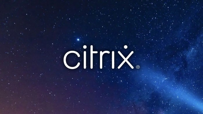 Citrix bleed critical bug ransomware mass cyberattacks