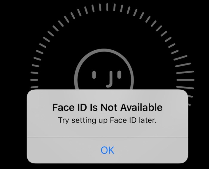 Face id not meant to support multiple users