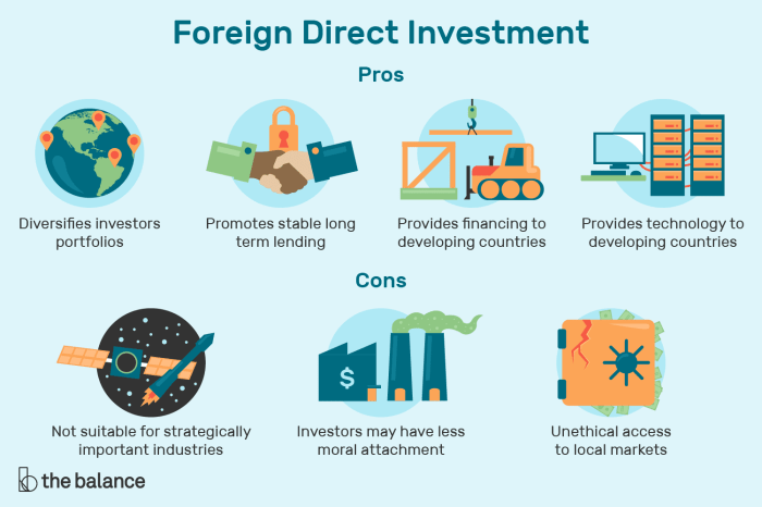 India space foreign direct investment