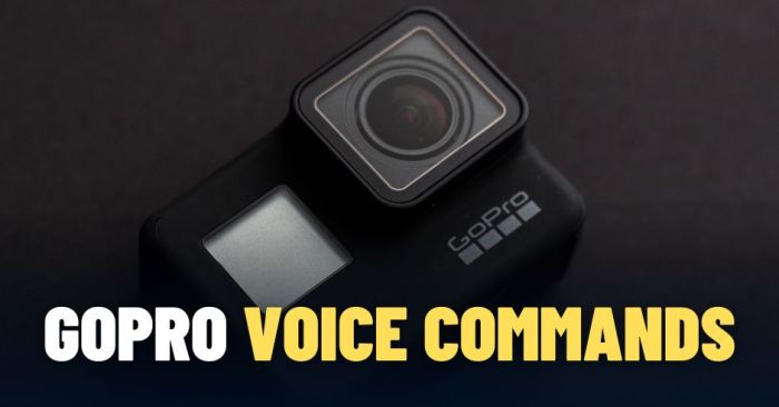 Gopro hero5 voice controls