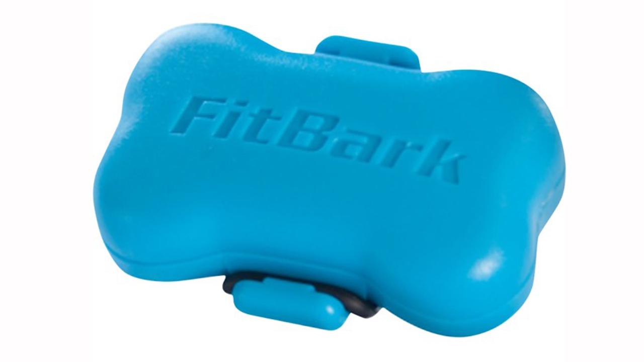 Fitbark tracker for dogs gets slight hardware upgrade