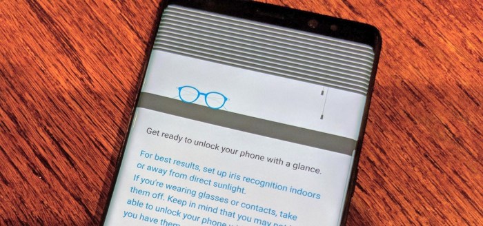 Galaxy s9 higher res iris scanner