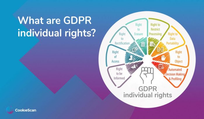 Tiktok gdpr childrens data decision