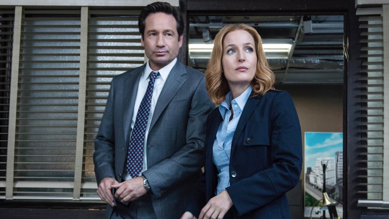 Gillian anderson done with x files series