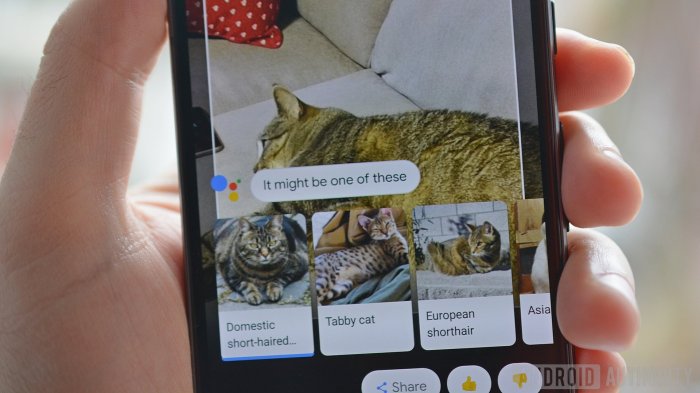 Google assistant updated lens support