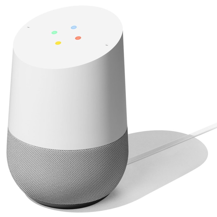 Google home launched google assistant