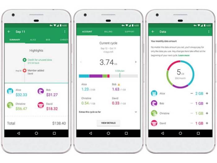 Project fi getting group plans