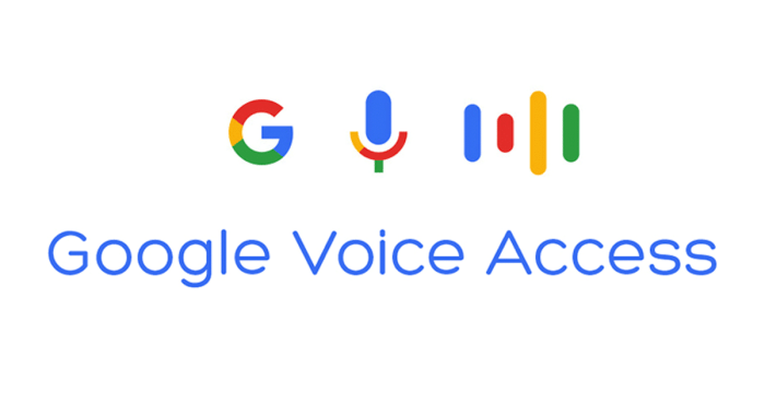 Google io voice access