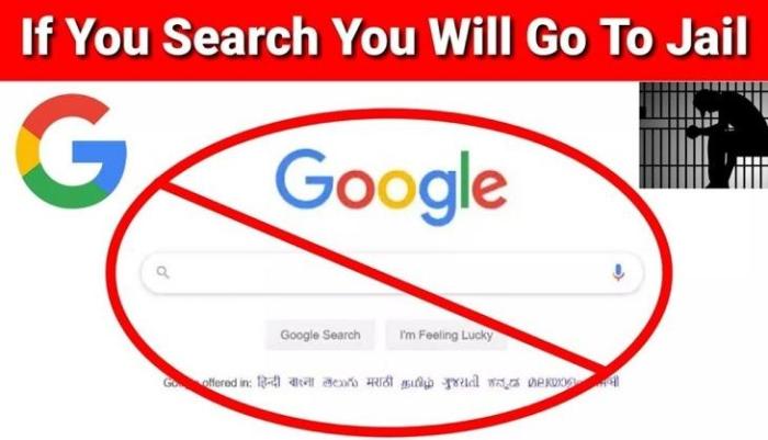 Google let websites opt out of search results