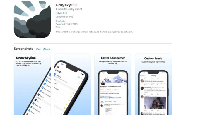 Graysky a third party client for x rival bluesky gets trending topics and a pro subscription