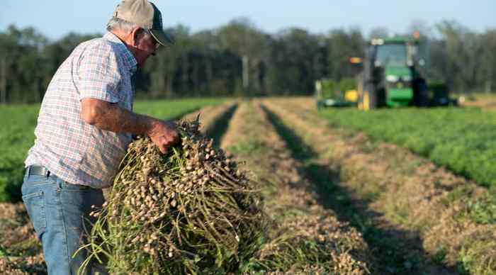 Seso is building software to fix farm workforces and solve agricultures hr woes