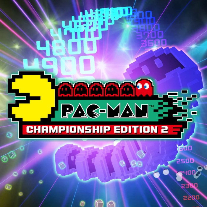 Pac man championship edition 2 for nintendo switch