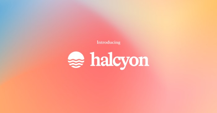 Anti ransomware startup halcyon lands fresh 40m tranche