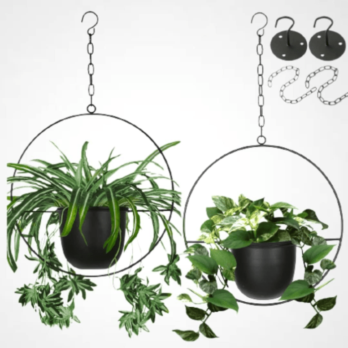 The best techy plant gifts for green thumbs in 2023