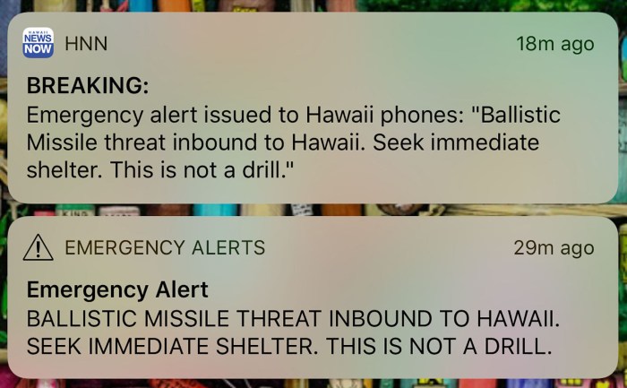 Hawaii incoming ballistic missile alert was false