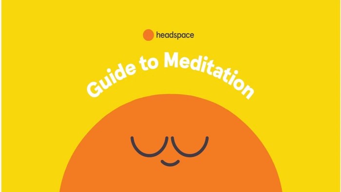 Headspace brings meditation to meta quest