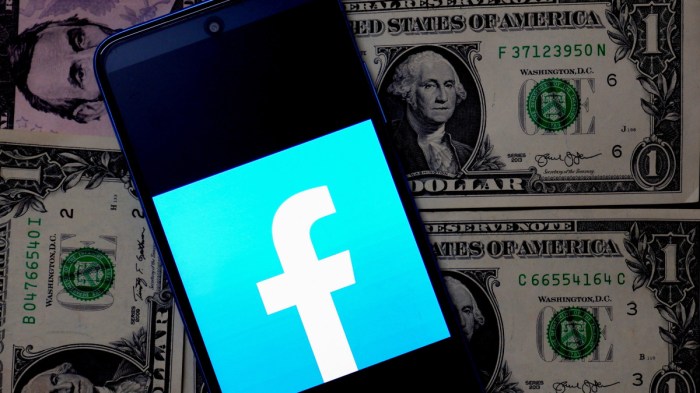 Facebook eliminate transaction fees donations