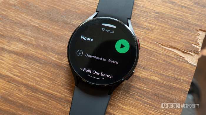 Spotify android wear app