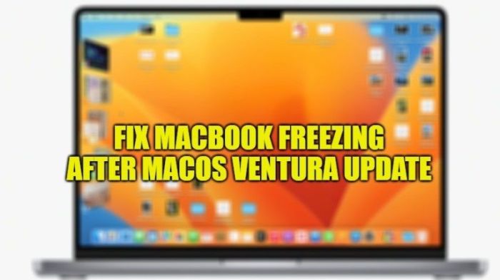 Os x update system freeze