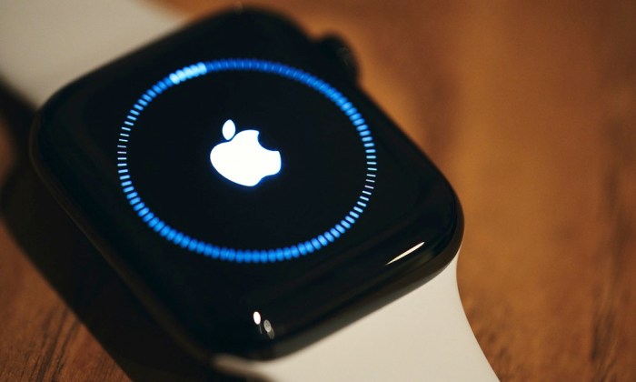 Major apple watch software update could bring several new features