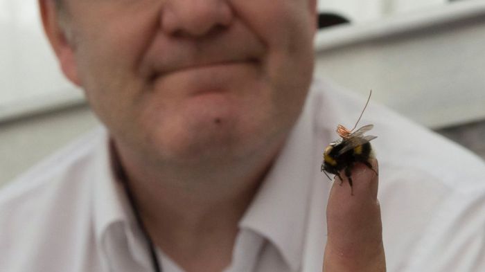 Small trackers map bee behavior