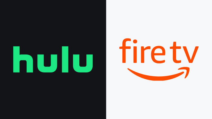 Hulu plus on amazon fire tv