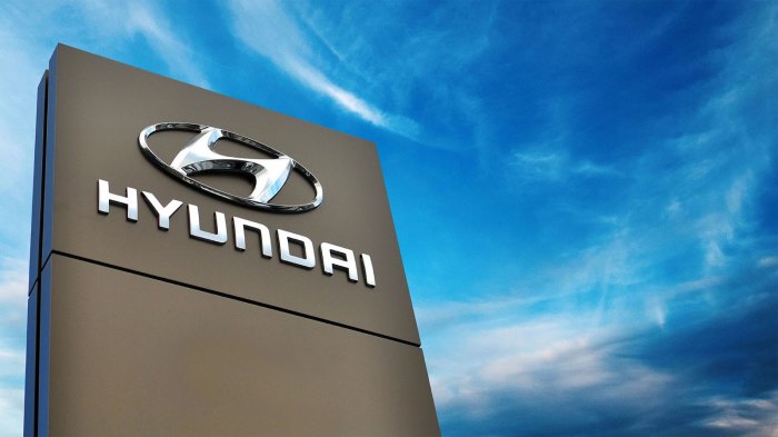 Hyundai motor india data exposed