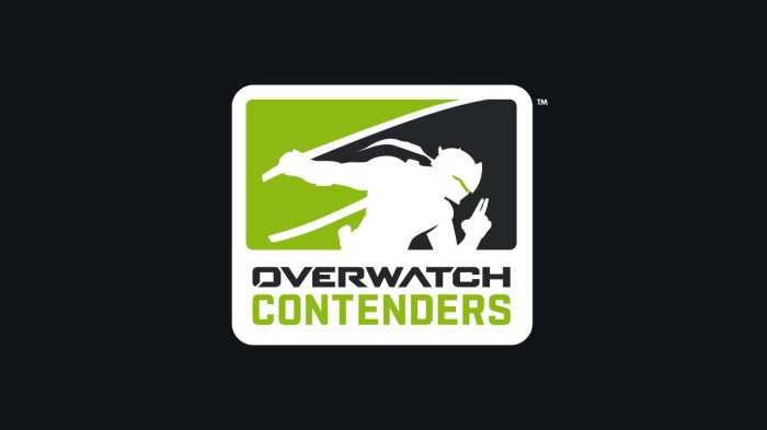 Blizzard overwatch contenders expanded