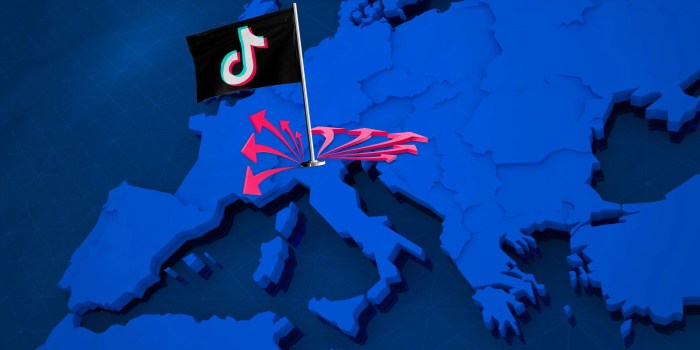 Tiktok is bringing its dedicated stem feed to europe