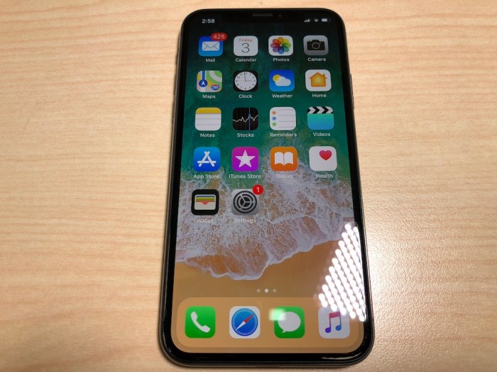 First hands on impression iphone x