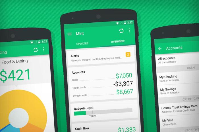 Budgeting app copilot mint 6m series a