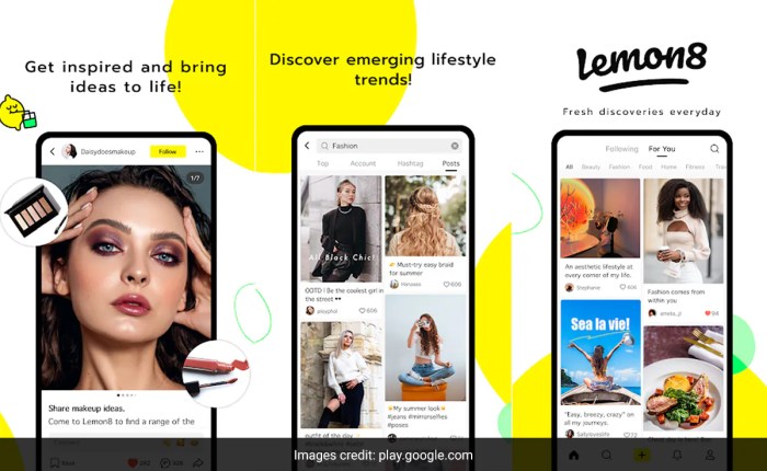 Lemon8 the instagram rival from tiktok parent bytedance fails to gain traction in u s