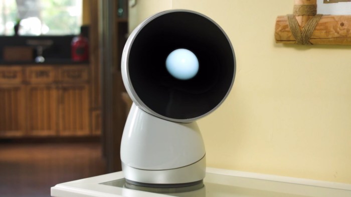 Jibo robot not shipping internationally