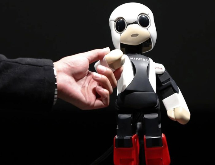 Kirobo robot carries out first space chat ever