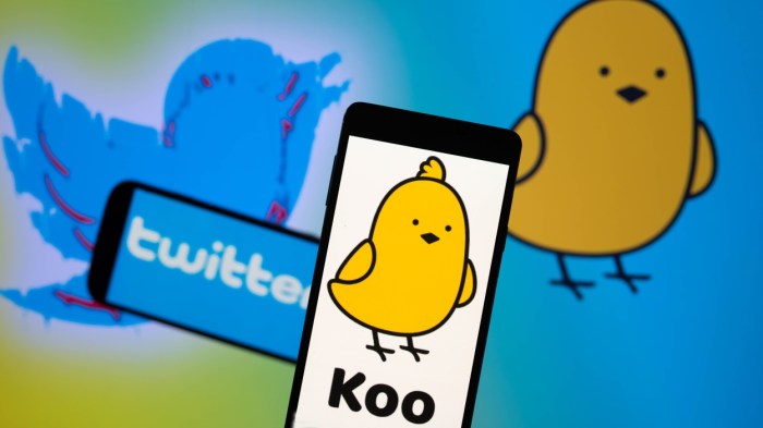 Koo indias twitter alternative seeks strategic partner amid funding crunch