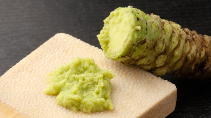 Wasabi could play role in new pain mdds