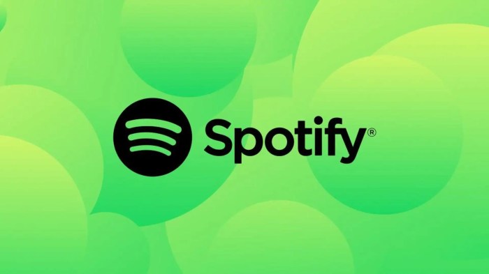 Spotify submits an update to show pricing information to ios users in eu