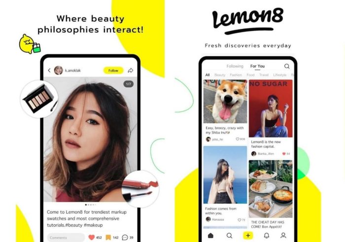 Lemon8 the instagram rival from tiktok parent bytedance fails to gain traction in u s