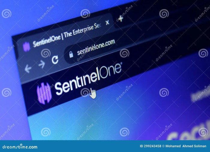 Sentinelone acquires peak xv backed pingsafe for over 100 million