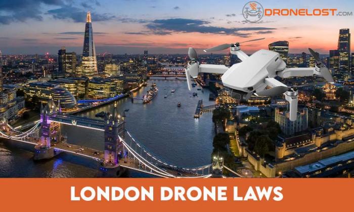 Royal parks in london no longer welcome drones