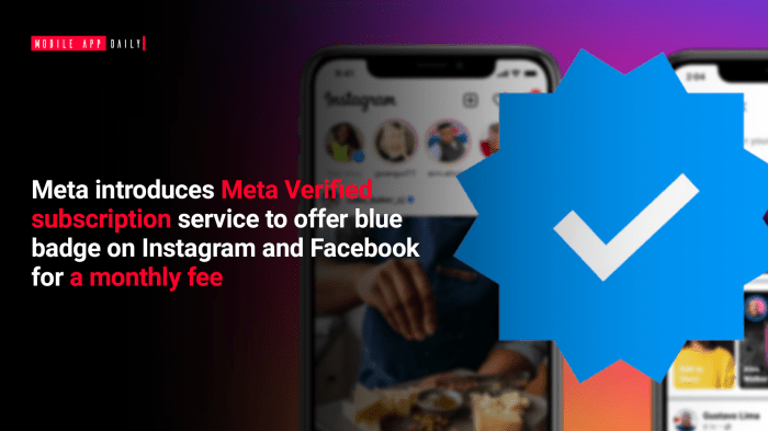 Meta ad free subscription price cut offer