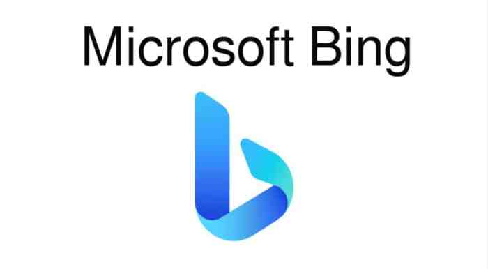 Microsoft talks up bing future