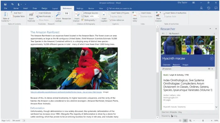 Latest microsoft word feature will help you with research papers