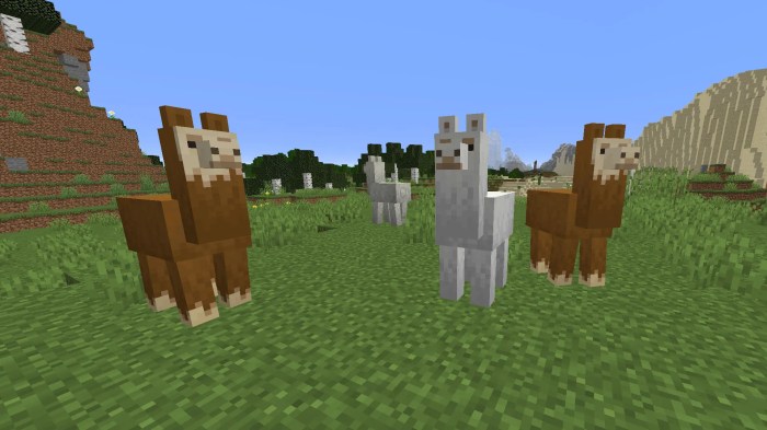 Minecraft pc exploration update arrives with llamas in tow