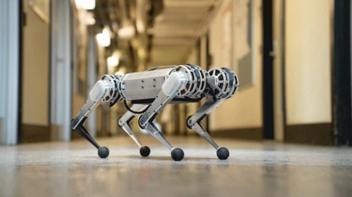 Xiaomis latest robot dog does backflips off skateboards costs 3000