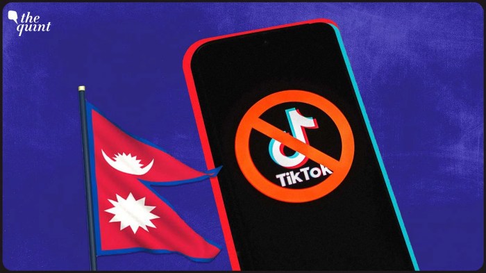 Nepal joins a growing list of countries banning tiktok