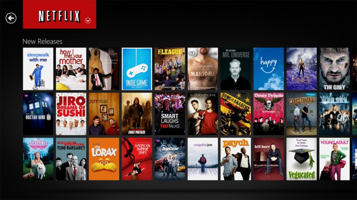 Netflix streaming to get more secure in 2016