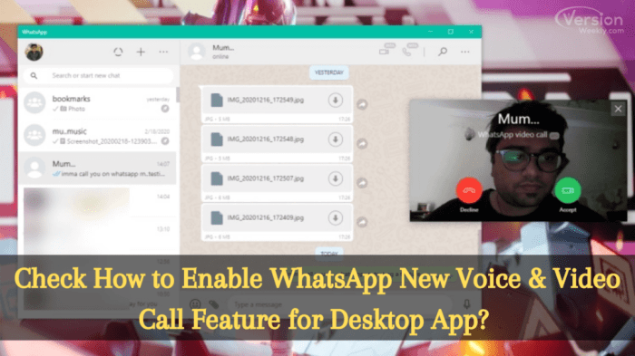 Whatsapp beta switch voice video calls