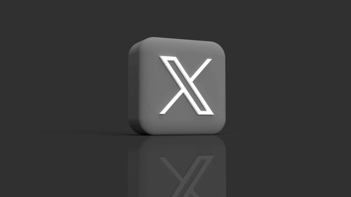 X launches account verification based on government id