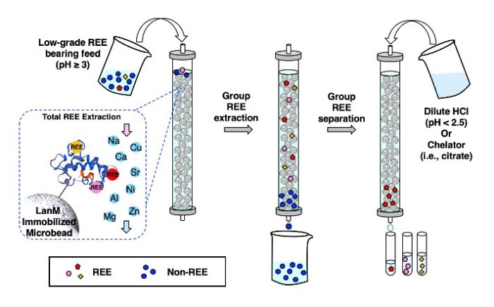 Rare earth metals extraction gets more efficient